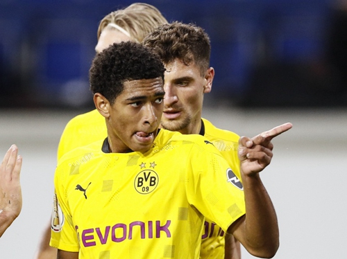 赛事组委会 赛事组委会